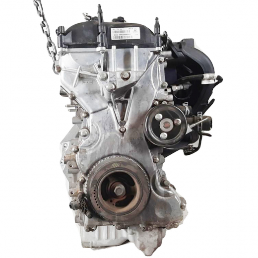 Двигатель контрактный Ford 2,0L MGDA