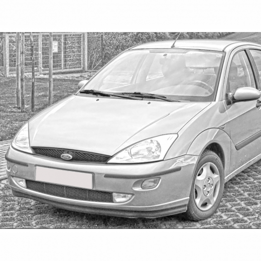 Решетка бампера Ford Focus I '98-'01 передняя под противотуманки API (Тайвань)