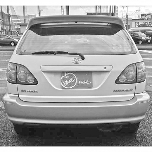 Дверь багажника Lexus RX/ Toyota Harrier '97-'00 (48-7) контрактная